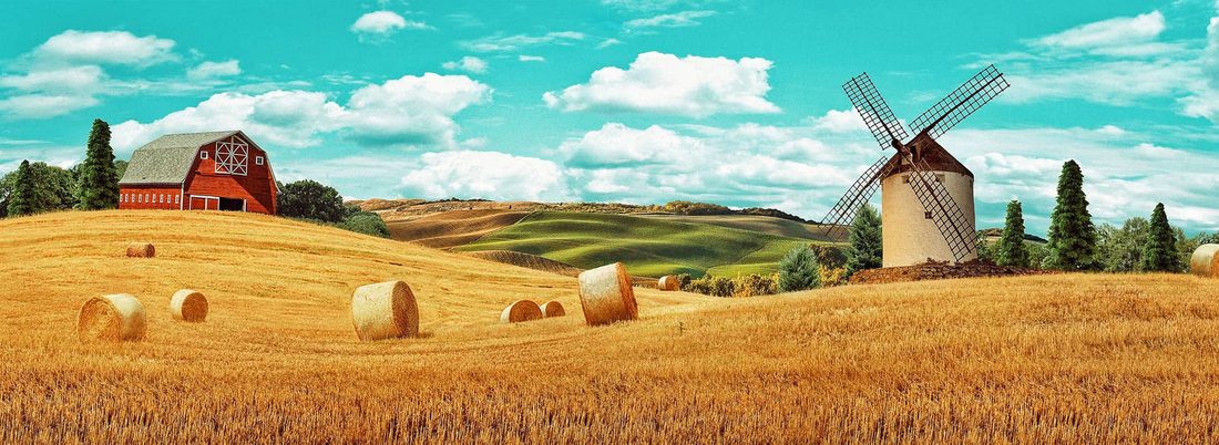 The Backdrop, from Scenic Art by Armin Rahimi